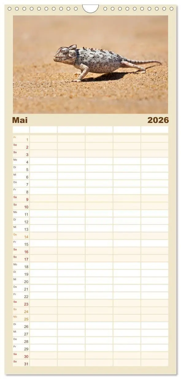 Bild: 9783516714944 | Familienplaner 2026 - Namibias faszinierende Tierwelt mit 5 Spalten...
