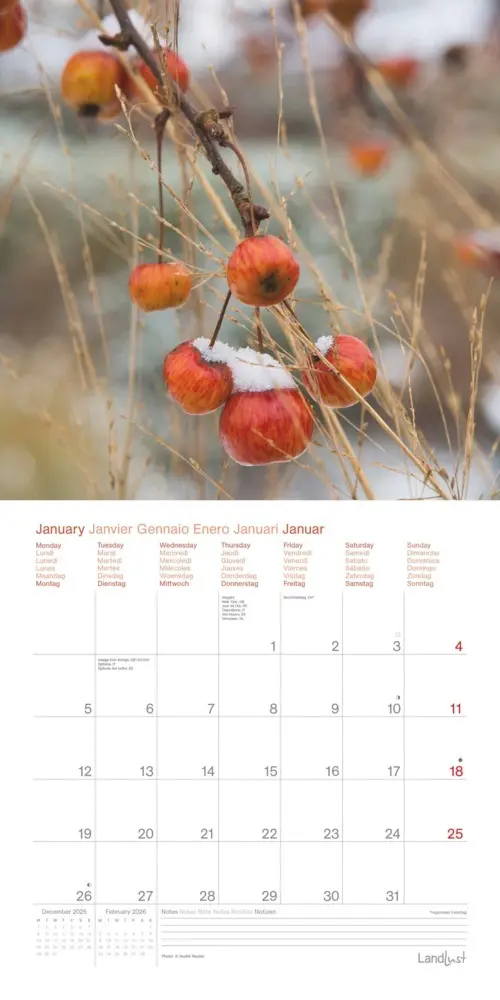 Bild: 4069095005044 | Landleben Träume | Kalender | 28 S. | Deutsch | EAN 4069095005044