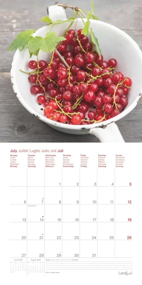Bild: 4069095005044 | Landleben Träume | Kalender | 28 S. | Deutsch | EAN 4069095005044