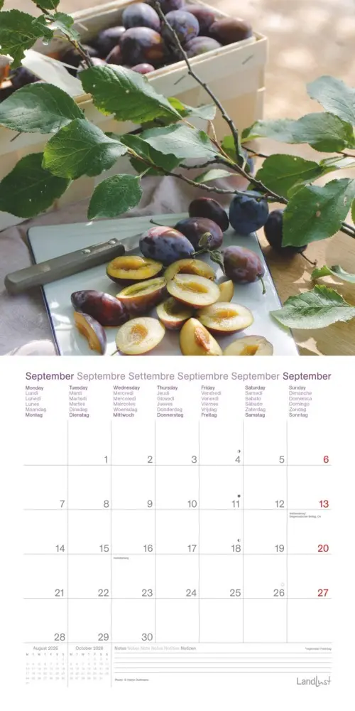 Bild: 4069095005044 | Landleben Träume | Kalender | 28 S. | Deutsch | EAN 4069095005044