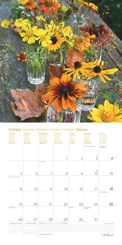 Bild: 4069095005044 | Landleben Träume | Kalender | 28 S. | Deutsch | EAN 4069095005044
