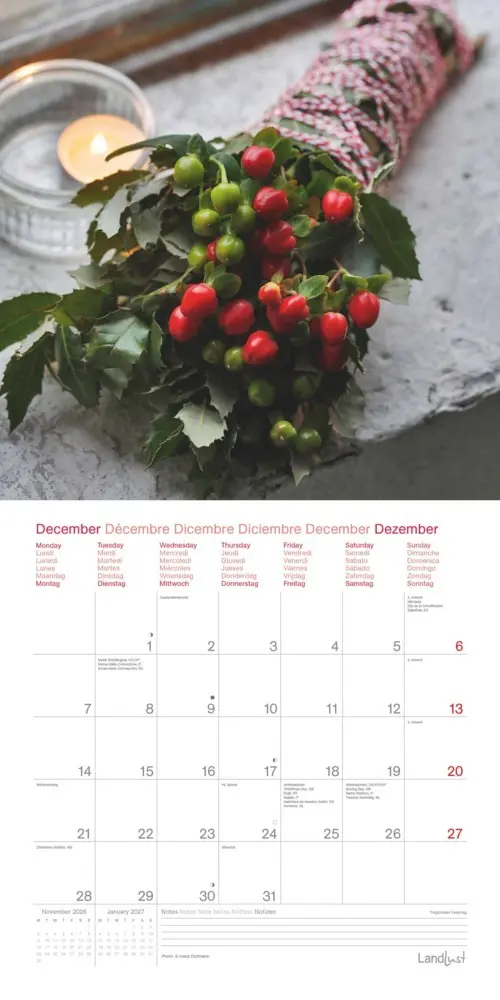 Bild: 4069095005044 | Landleben Träume | Kalender | 28 S. | Deutsch | EAN 4069095005044