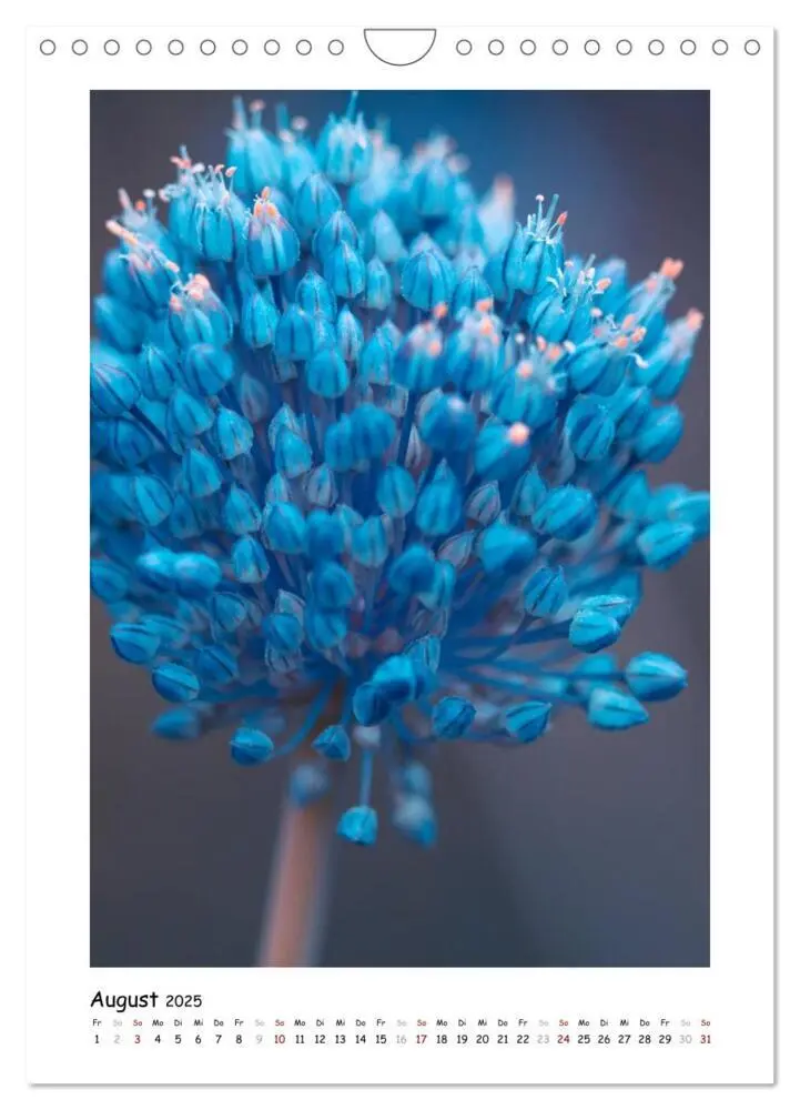Bild: 9783435975044 | Blauer Blütenzauber (Wandkalender 2025 DIN A4 hoch), CALVENDO...