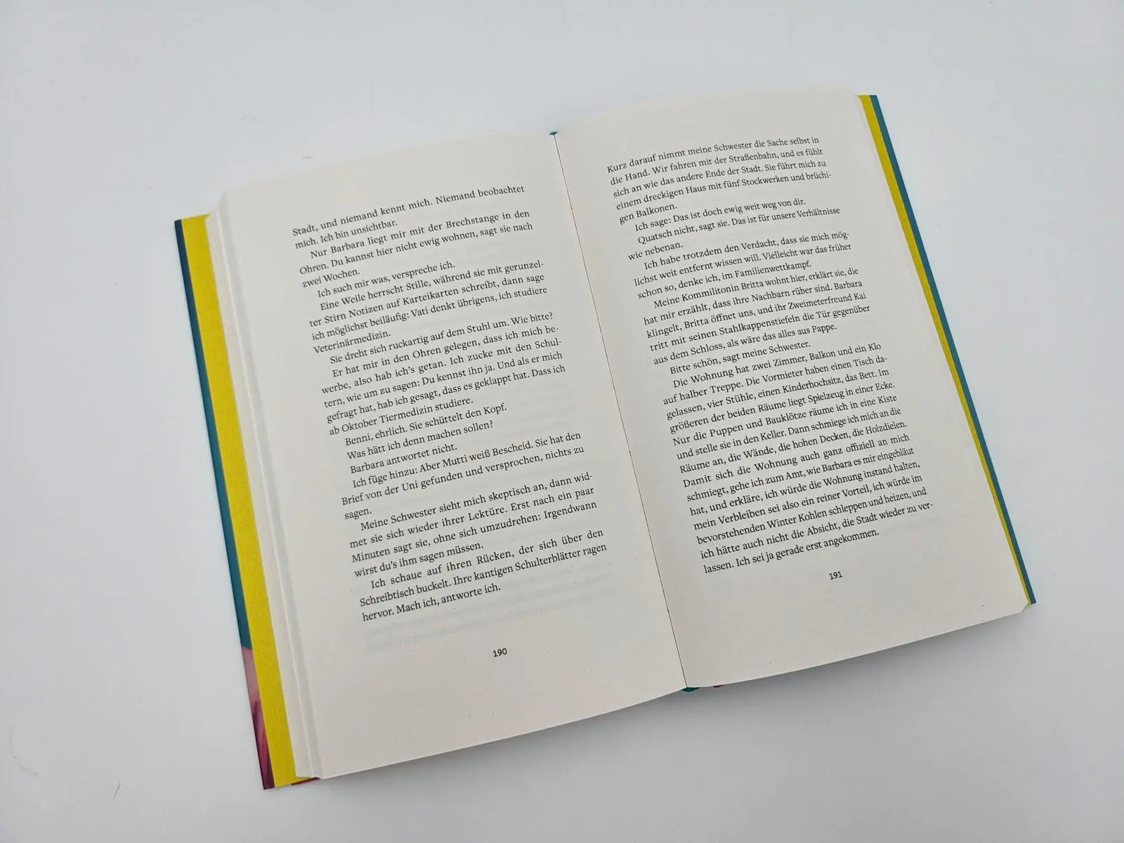 Bild: 9783827015044 | Wesentliche Bedürfnisse | Roman | Res Sigusch | Buch | 272 S. | 2024