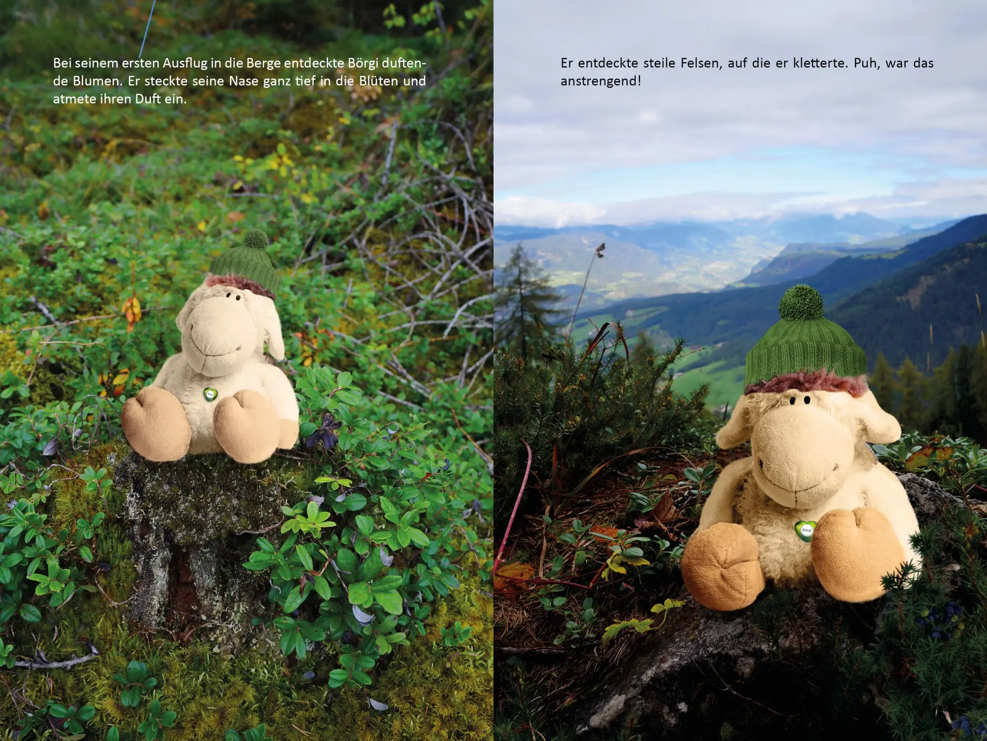 Bild: 9783960745044 | Börgi, das Reiseschaf | Christina Hehlgans | Taschenbuch | Deutsch