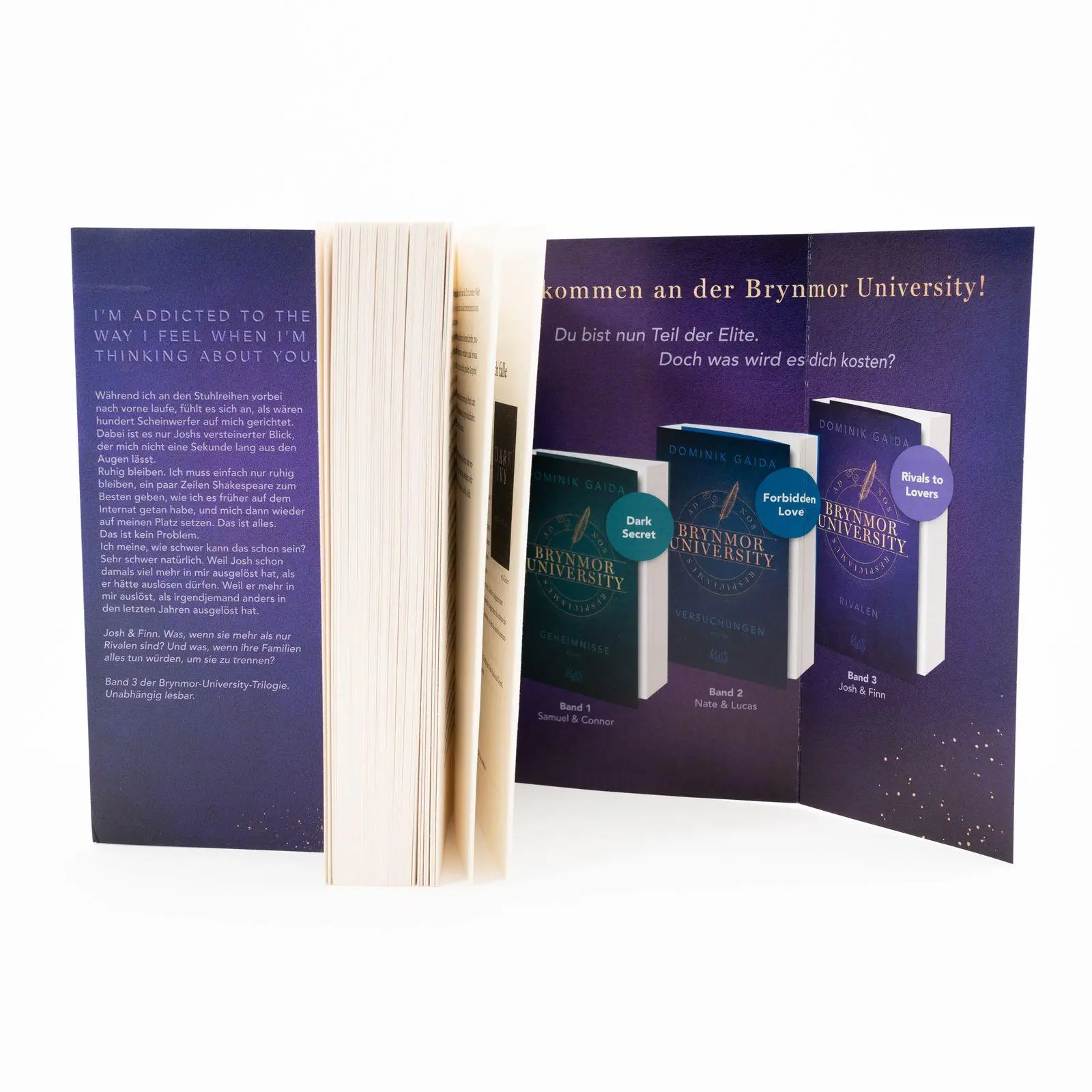 Bild: 9783499015144 | Brynmor University - Rivalen | Ein hochemotionaler queerer Liebesroman