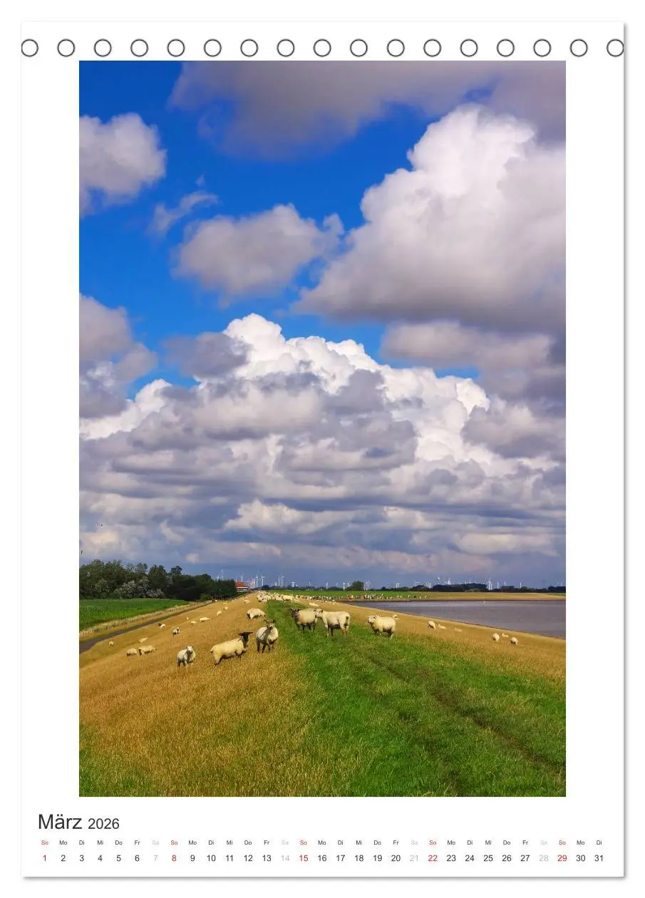 Bild: 9783516455144 | Büsum - Impressionen eines Sommers (Tischkalender 2026 DIN A5...