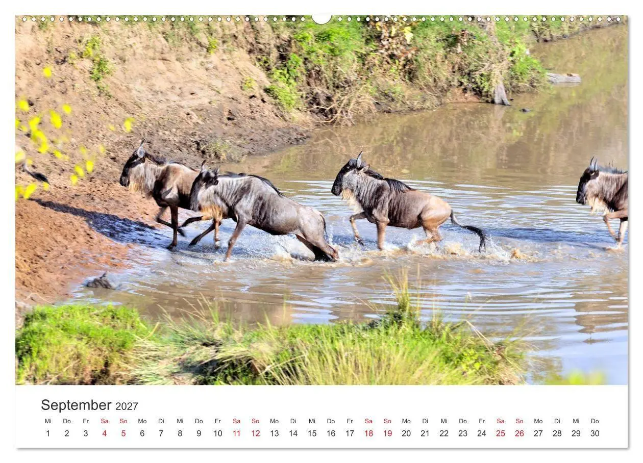Bild: 9783569855144 | Kenia - Ein Land wie Afrika (hochwertiger Premium Wandkalender 2027...