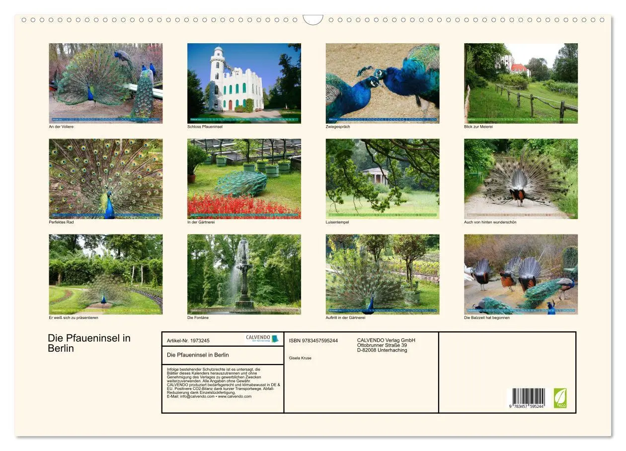Bild: 9783457595244 | Die Pfaueninsel in Berlin (Wandkalender 2026 DIN A2 quer), CALVENDO...