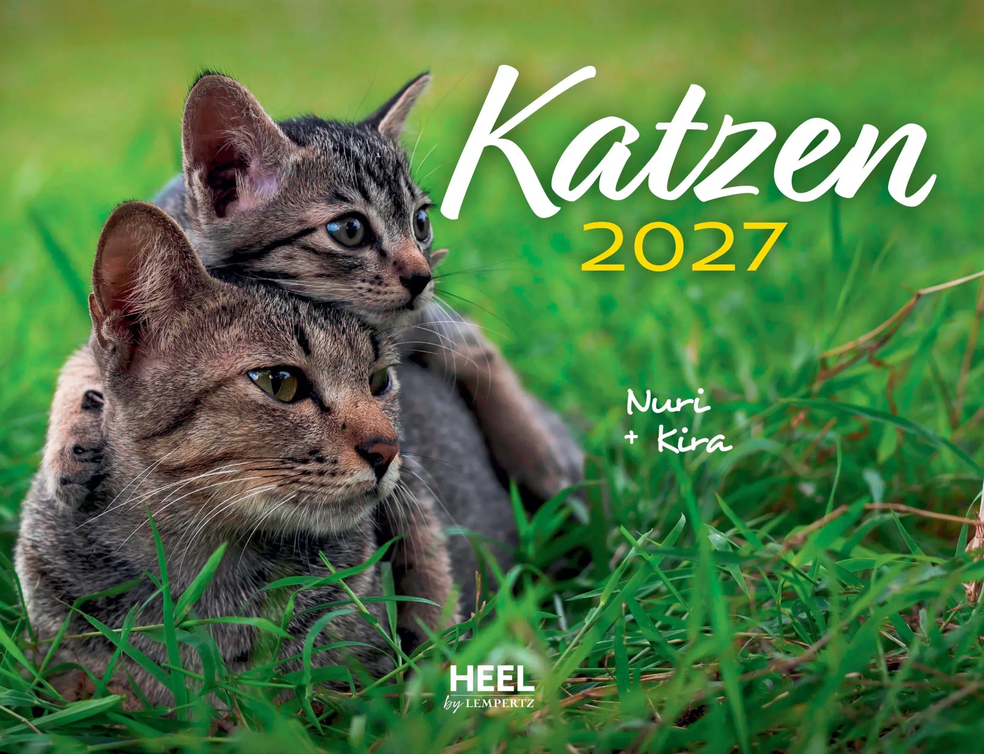 Cover: 9783960585244 | Katzen 2027 Eintragkalender | Tierkalender mit den charmanten Namen