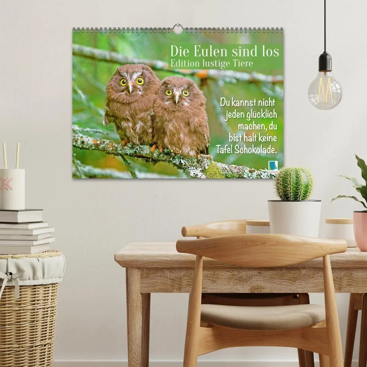 Bild: 9783516985344 | Die Eulen sind los: Edition lustige Tiere (Wandkalender 2027 DIN A3...