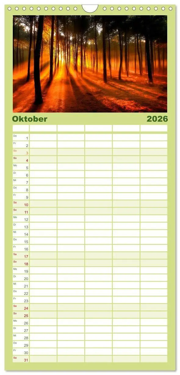 Bild: 9783457955444 | Familienplaner 2026 - Mystik der Wälder mit 5 Spalten...