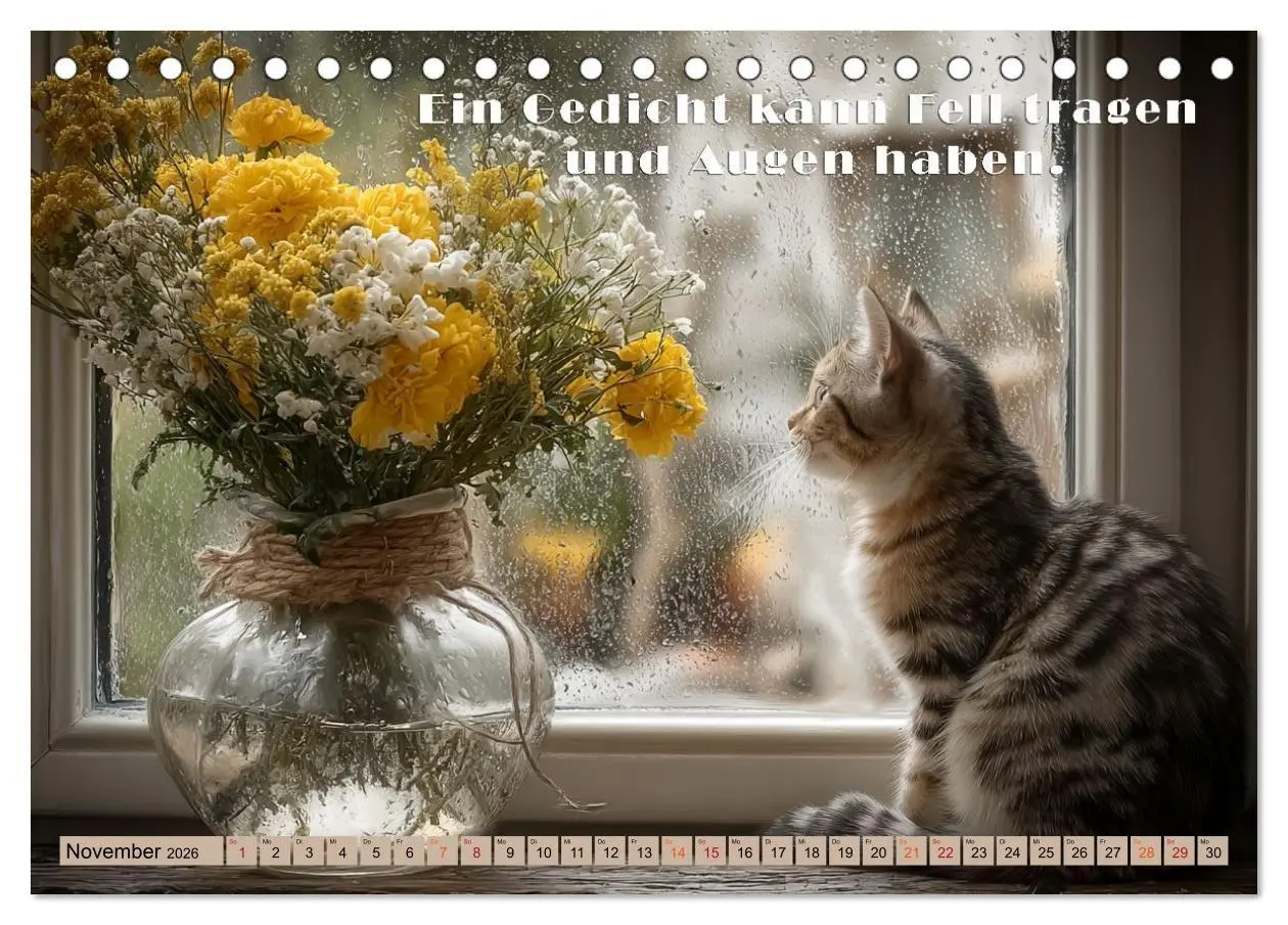 Bild: 9783516665444 | Miau-velous Pfotenpoesie (Tischkalender 2026 DIN A5 quer), CALVENDO...