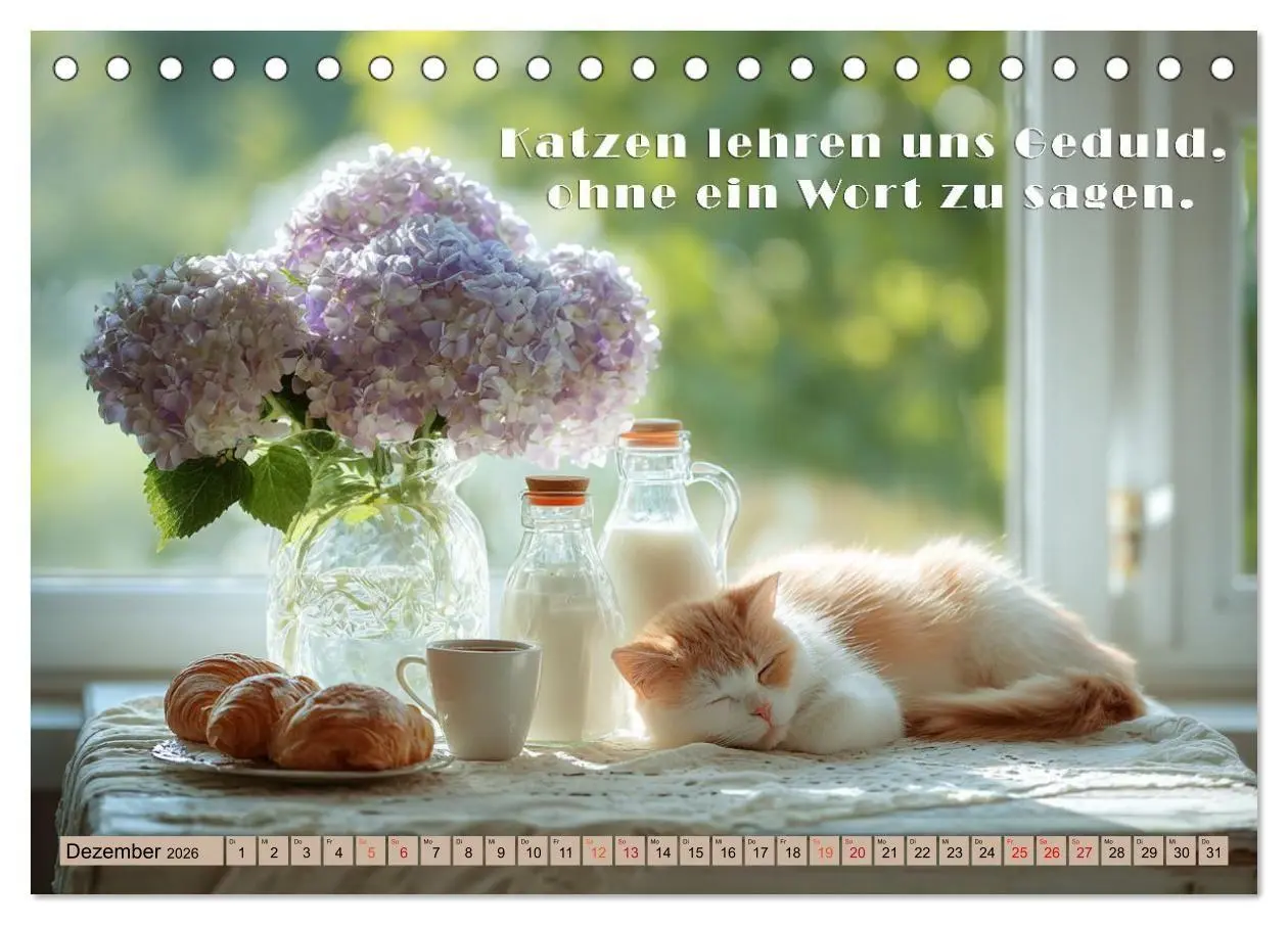 Bild: 9783516665444 | Miau-velous Pfotenpoesie (Tischkalender 2026 DIN A5 quer), CALVENDO...