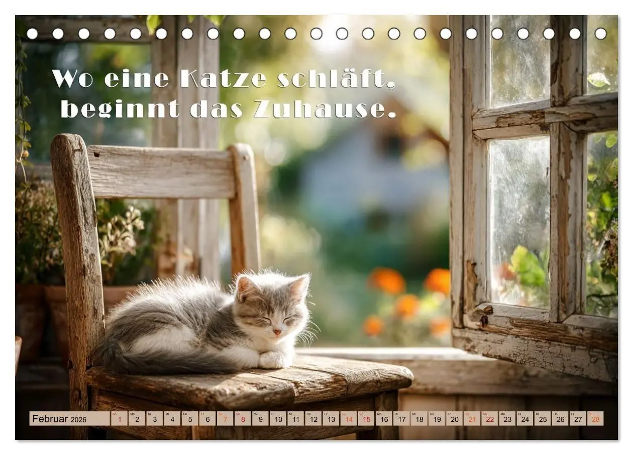 Bild: 9783516665444 | Miau-velous Pfotenpoesie (Tischkalender 2026 DIN A5 quer), CALVENDO...