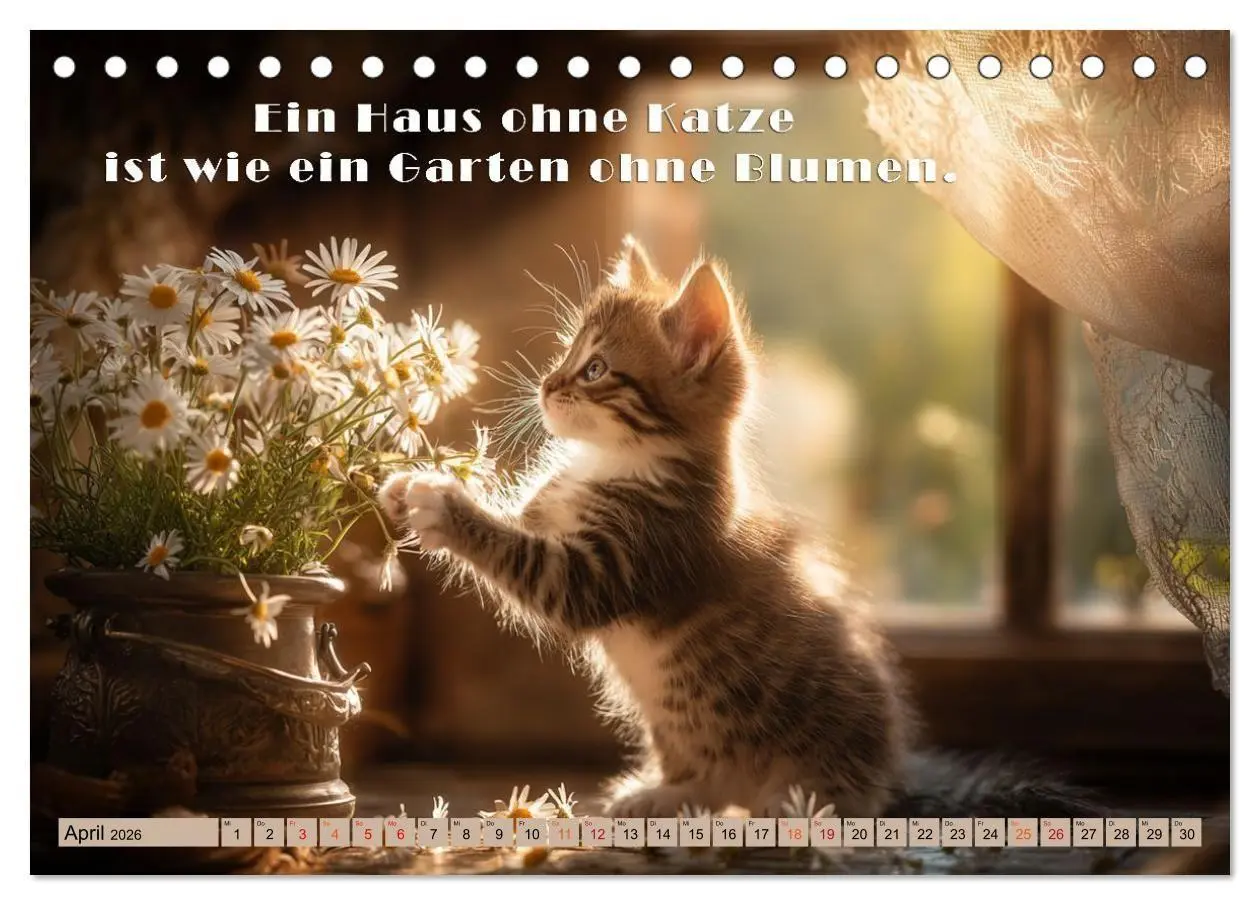 Bild: 9783516665444 | Miau-velous Pfotenpoesie (Tischkalender 2026 DIN A5 quer), CALVENDO...