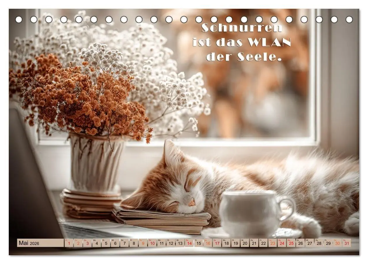 Bild: 9783516665444 | Miau-velous Pfotenpoesie (Tischkalender 2026 DIN A5 quer), CALVENDO...