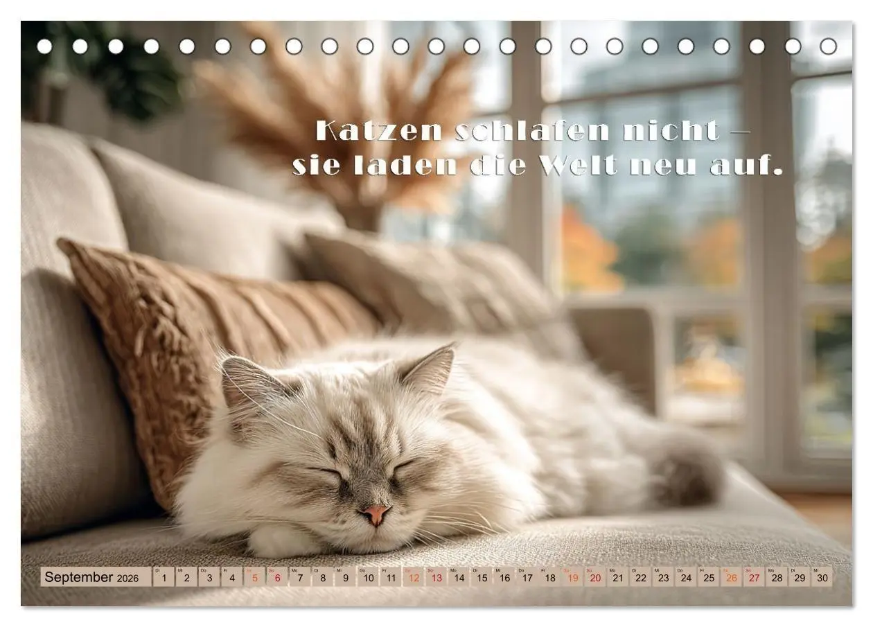 Bild: 9783516665444 | Miau-velous Pfotenpoesie (Tischkalender 2026 DIN A5 quer), CALVENDO...