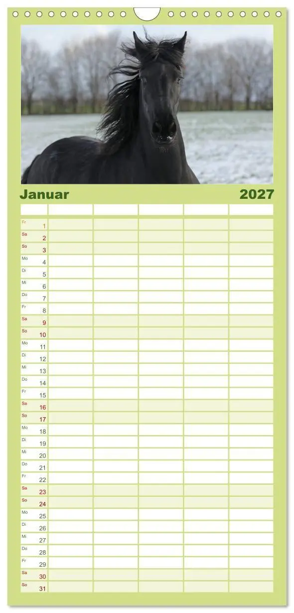 Bild: 9783594335444 | Familienplaner 2027 - Friesen - Schönheit, Kraft und Eleganz mit 5...