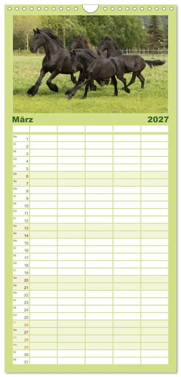 Bild: 9783594335444 | Familienplaner 2027 - Friesen - Schönheit, Kraft und Eleganz mit 5...