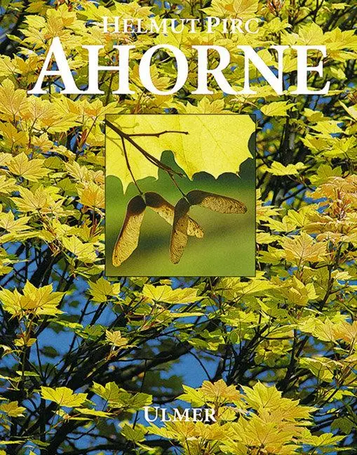 Cover: 9783800165544 | Ahorne | Helmut Pirc | Buch | 240 S. | Deutsch | 1994 | Eugen Ulmer KG