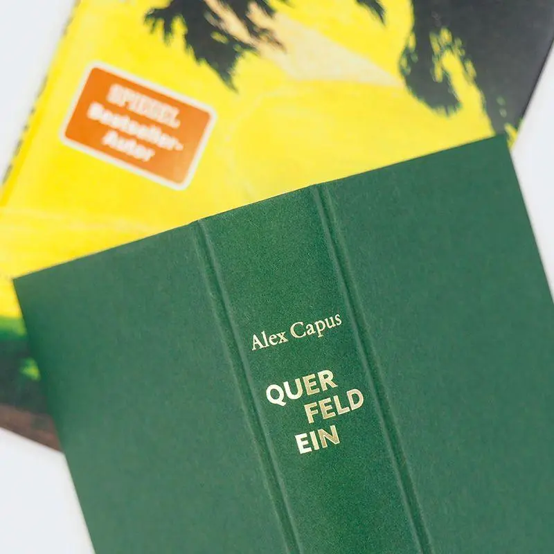 Bild: 9783446285644 | Querfeldein | Roman | Alex Capus | Buch | 288 S. | Deutsch | 2026