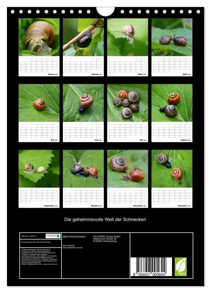 Bild: 9783457005644 | Die geheimnisvolle Welt der Schnecken (Wandkalender 2025 DIN A4...