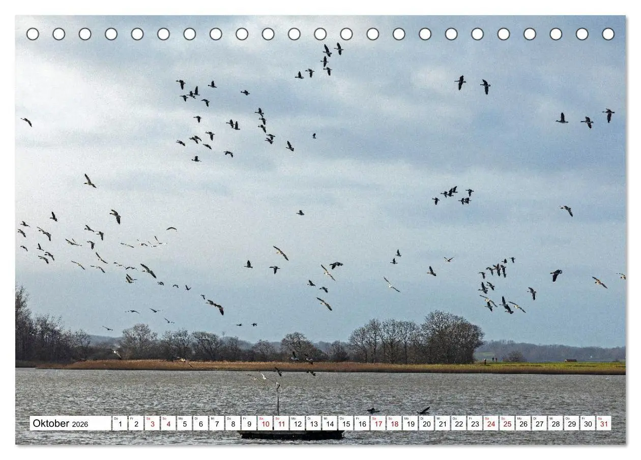 Bild: 9783516715644 | Angeln - Landschaft zwischen Schlei und Flensburger Förde...
