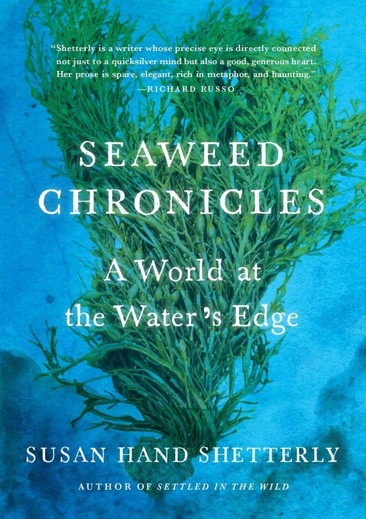 Cover: 9781616205744 | Seaweed Chronicles: A World at the Water's Edge | Susan Hand Shetterly