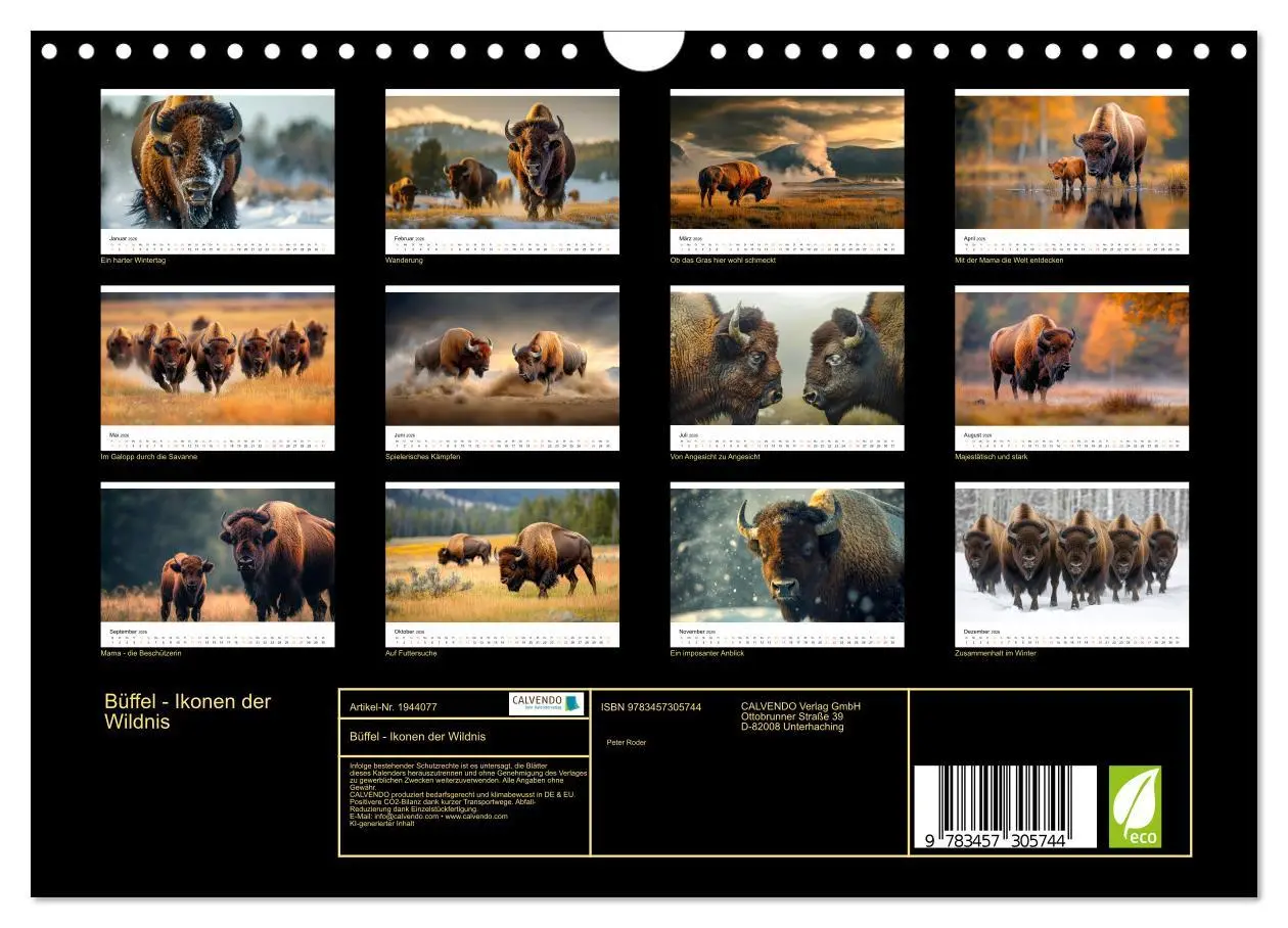 Bild: 9783457305744 | Büffel - Ikonen der Wildnis (Wandkalender 2026 DIN A4 quer),...