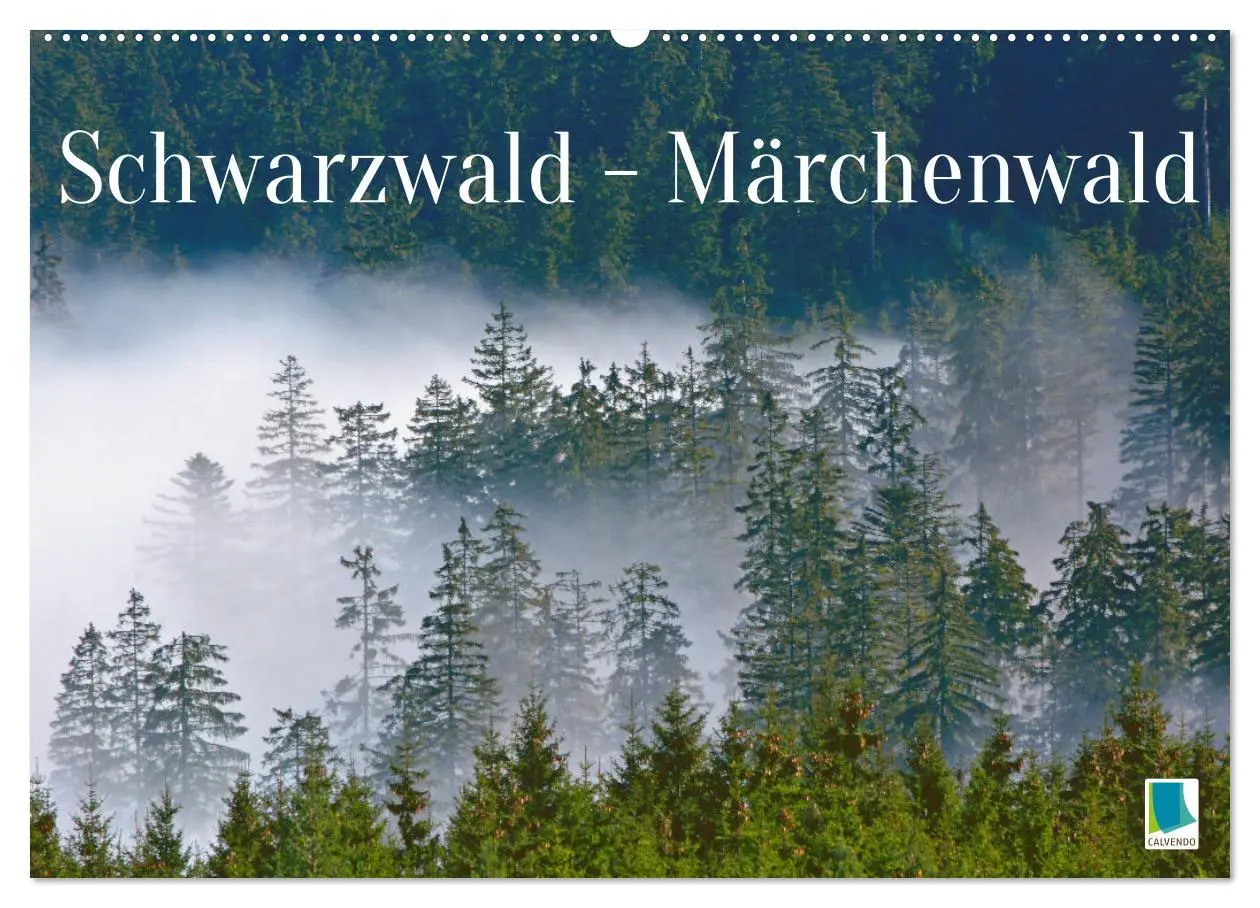 Cover: 9783457465844 | Schwarzwald - Märchenwald (Wandkalender 2026 DIN A2 quer), CALVENDO...