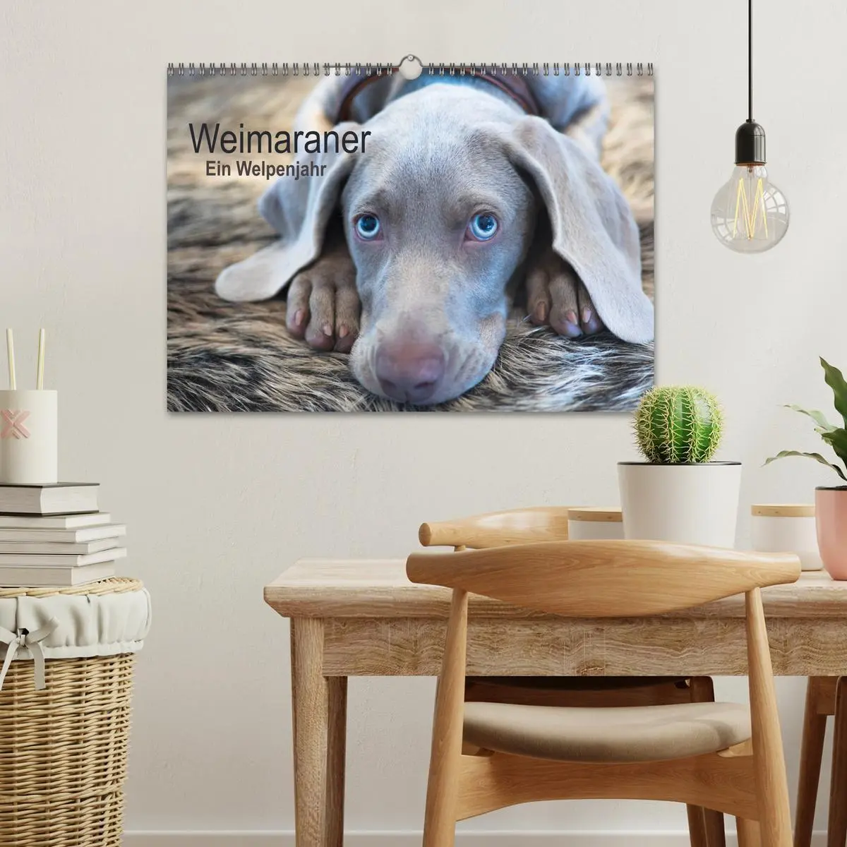 Bild: 9783457845844 | Weimaraner - Ein Welpenjahr (Wandkalender 2026 DIN A3 quer),...