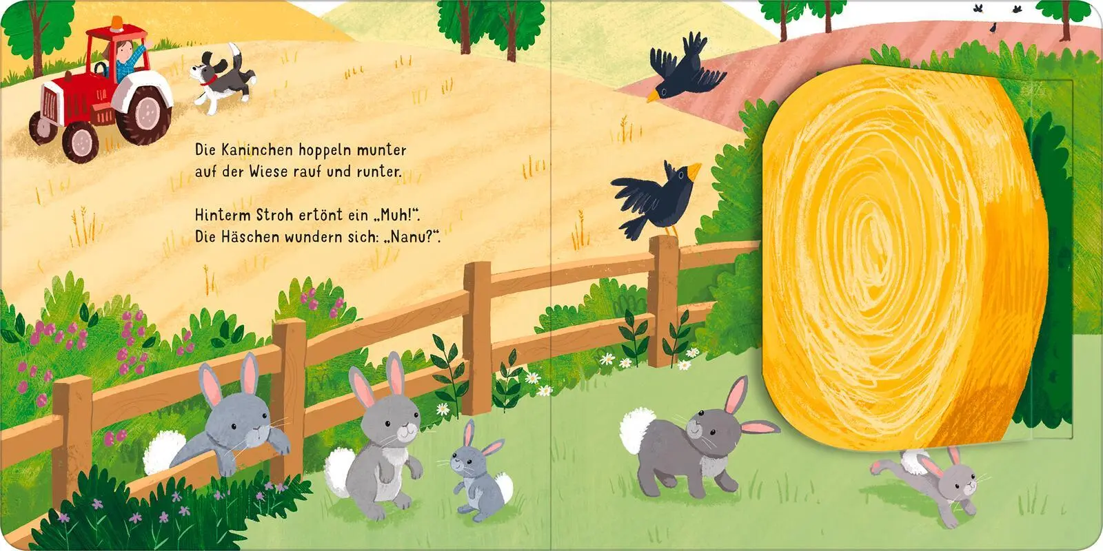 Bild: 9783845855844 | Klapp auf! Wer versteckt sich auf dem Bauernhof? | Elena Bruns | Buch