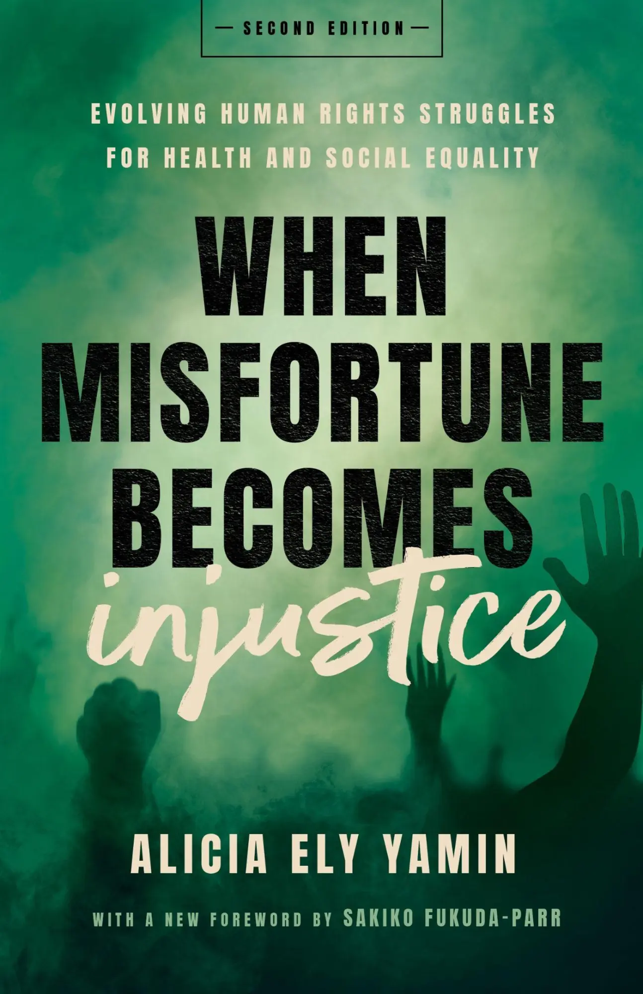 Cover: 9781503635944 | When Misfortune Becomes Injustice | Alicia Ely Yamin | Taschenbuch