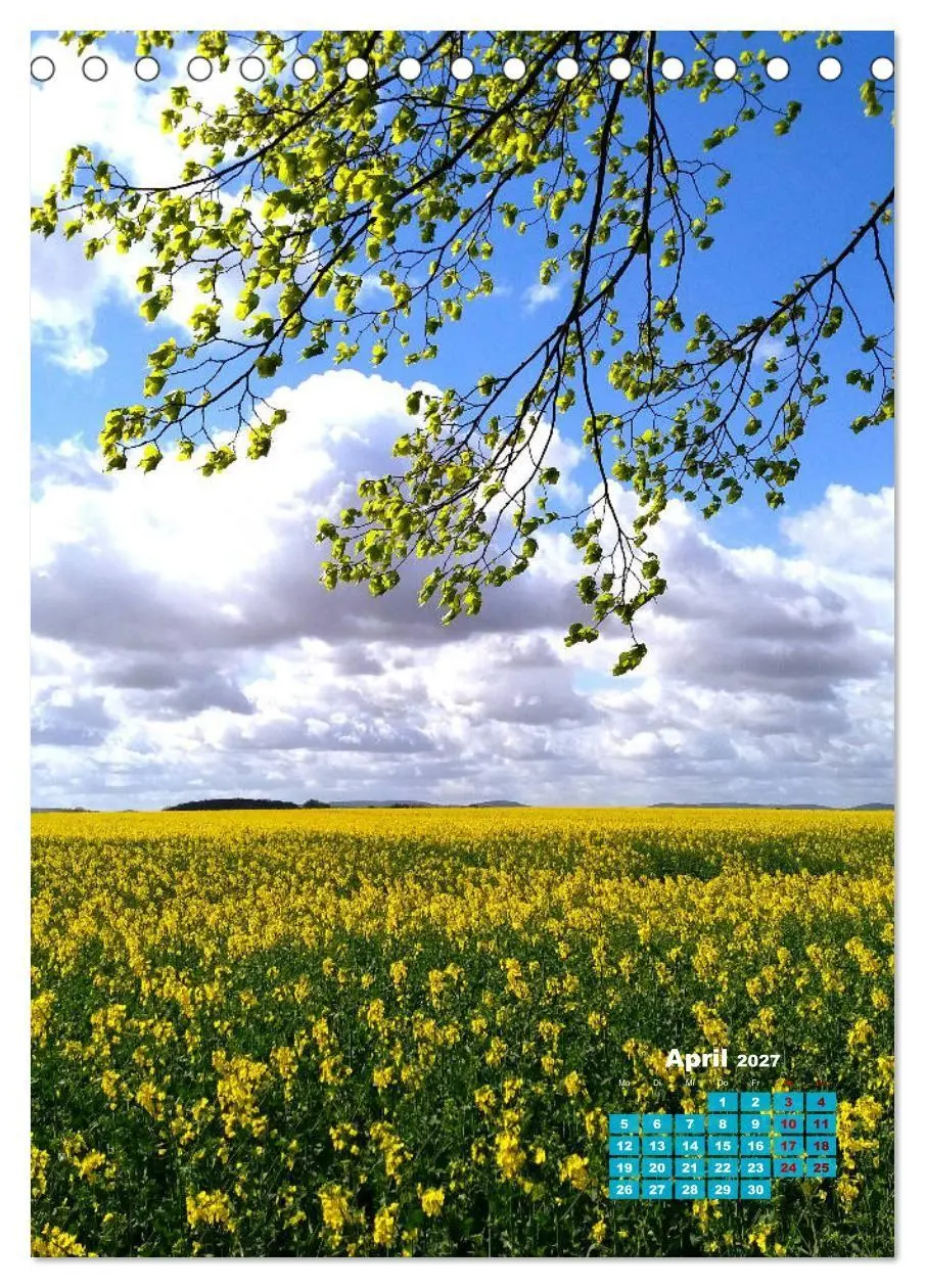 Bild: 9783569705944 | Stille der Natur (Tischkalender 2027 DIN A5 hoch), CALVENDO...
