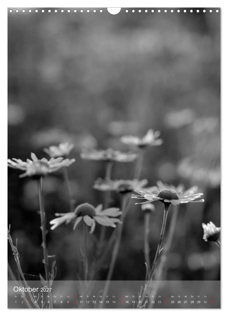 Bild: 9783569945944 | Monochrome Blüten - In Schwarz-Weiß Bildern durch das Jahr...