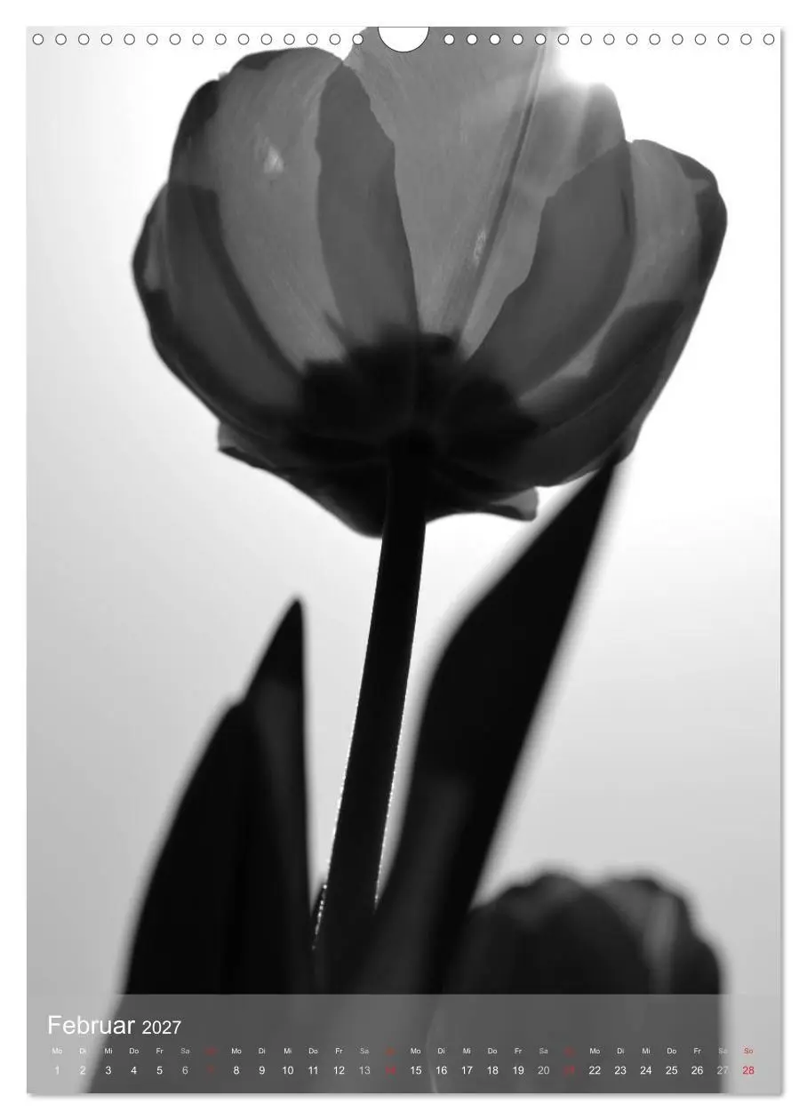 Bild: 9783569945944 | Monochrome Blüten - In Schwarz-Weiß Bildern durch das Jahr...