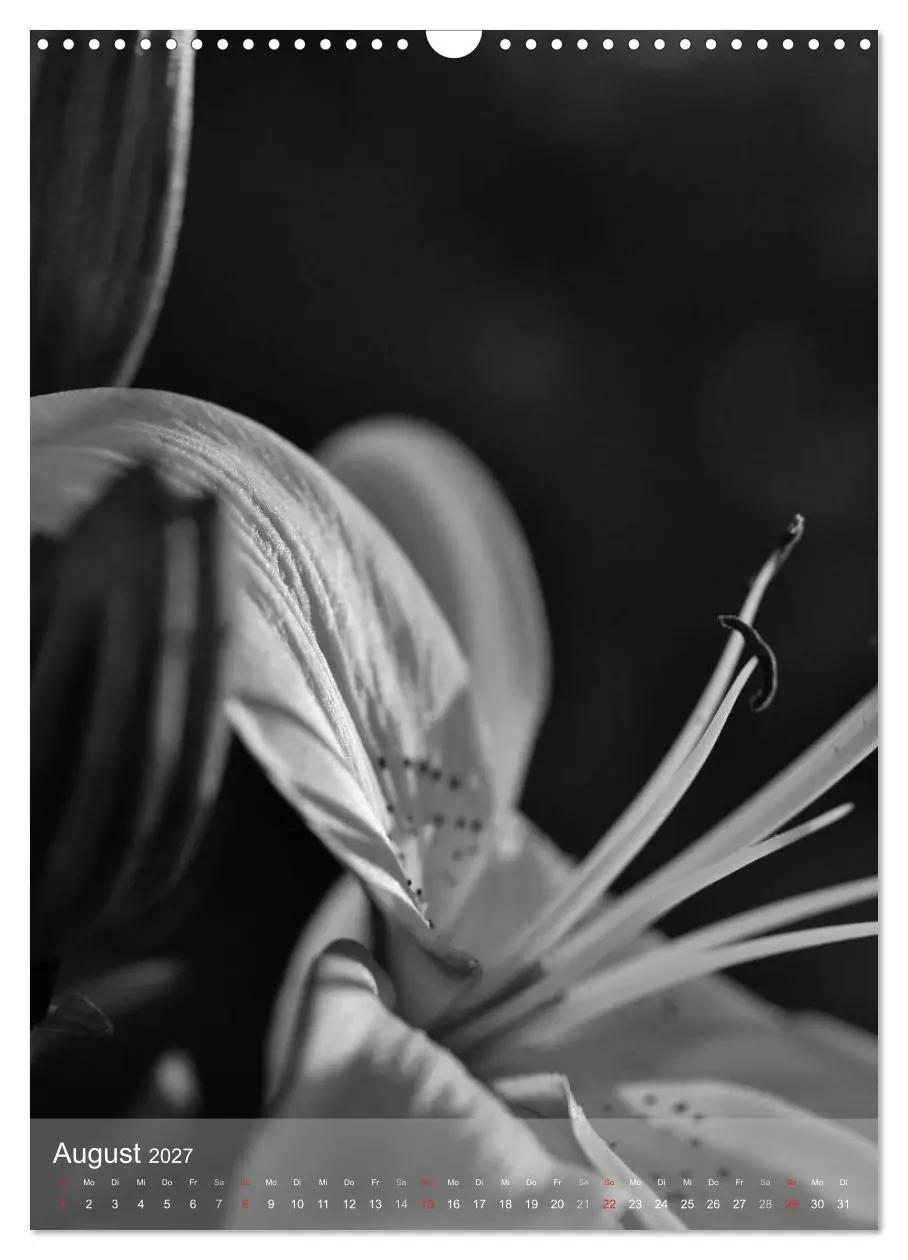 Bild: 9783569945944 | Monochrome Blüten - In Schwarz-Weiß Bildern durch das Jahr...