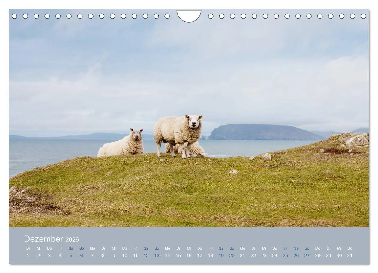 Bild: 9783457896044 | Unter Schafen - Wegbegleiter auf Reisen (Wandkalender 2026 DIN A4...