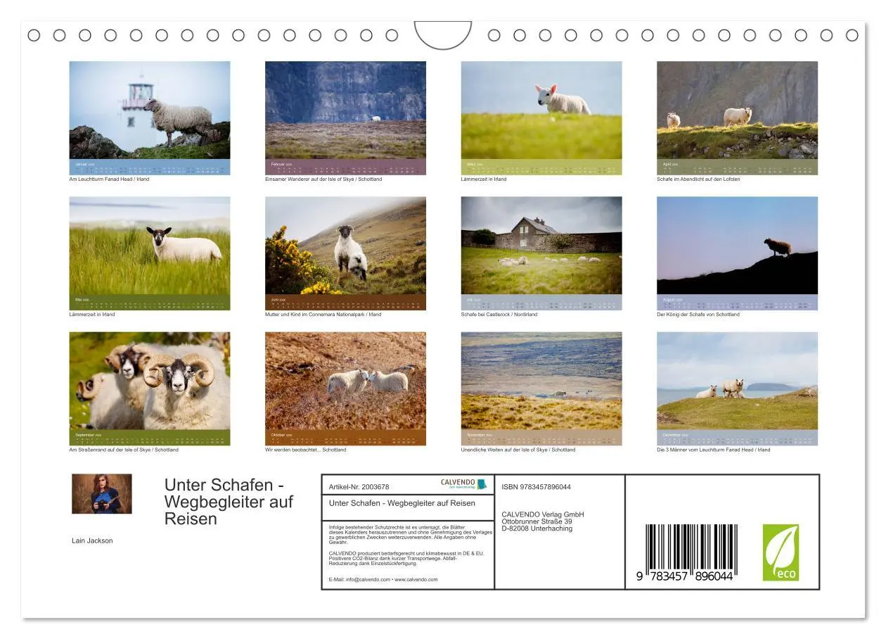 Bild: 9783457896044 | Unter Schafen - Wegbegleiter auf Reisen (Wandkalender 2026 DIN A4...