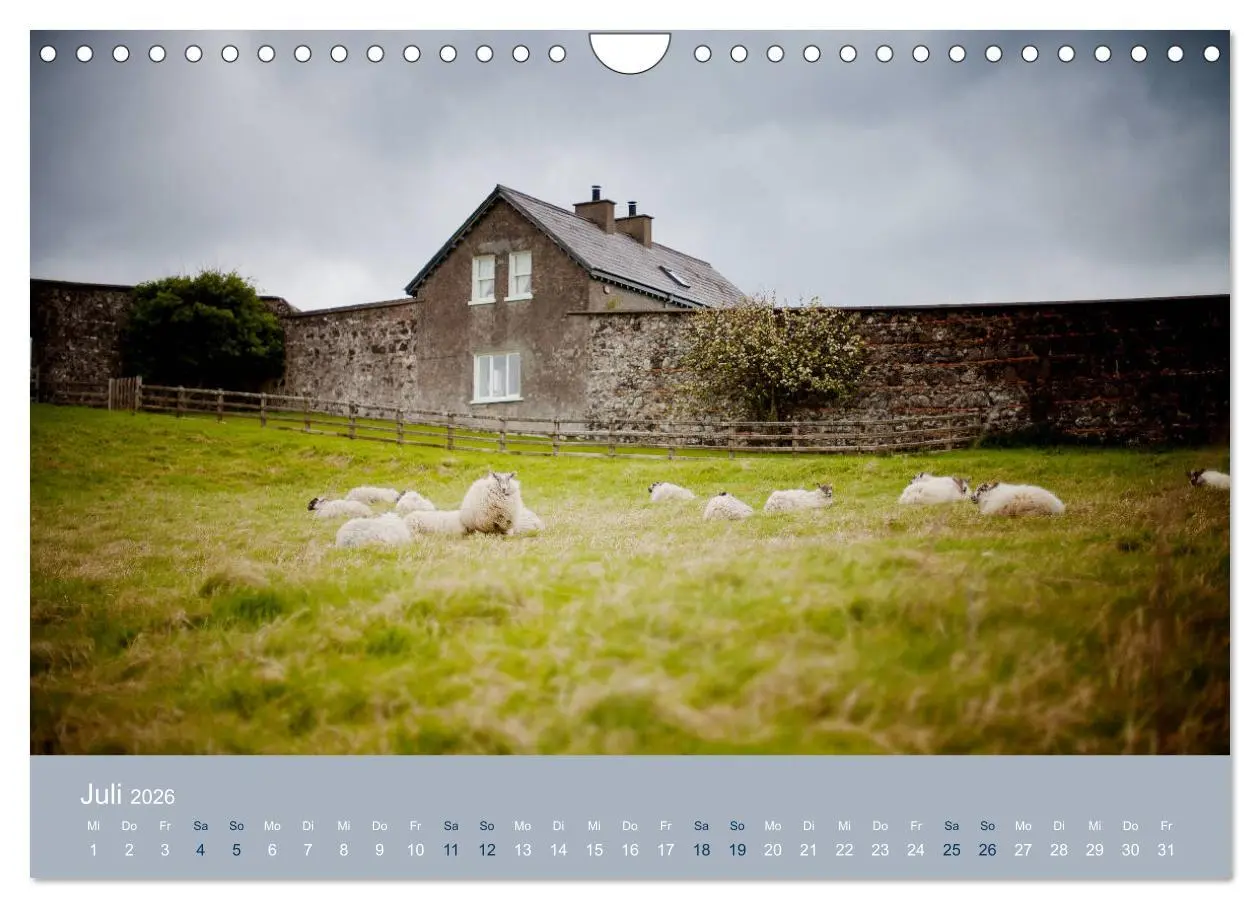 Bild: 9783457896044 | Unter Schafen - Wegbegleiter auf Reisen (Wandkalender 2026 DIN A4...