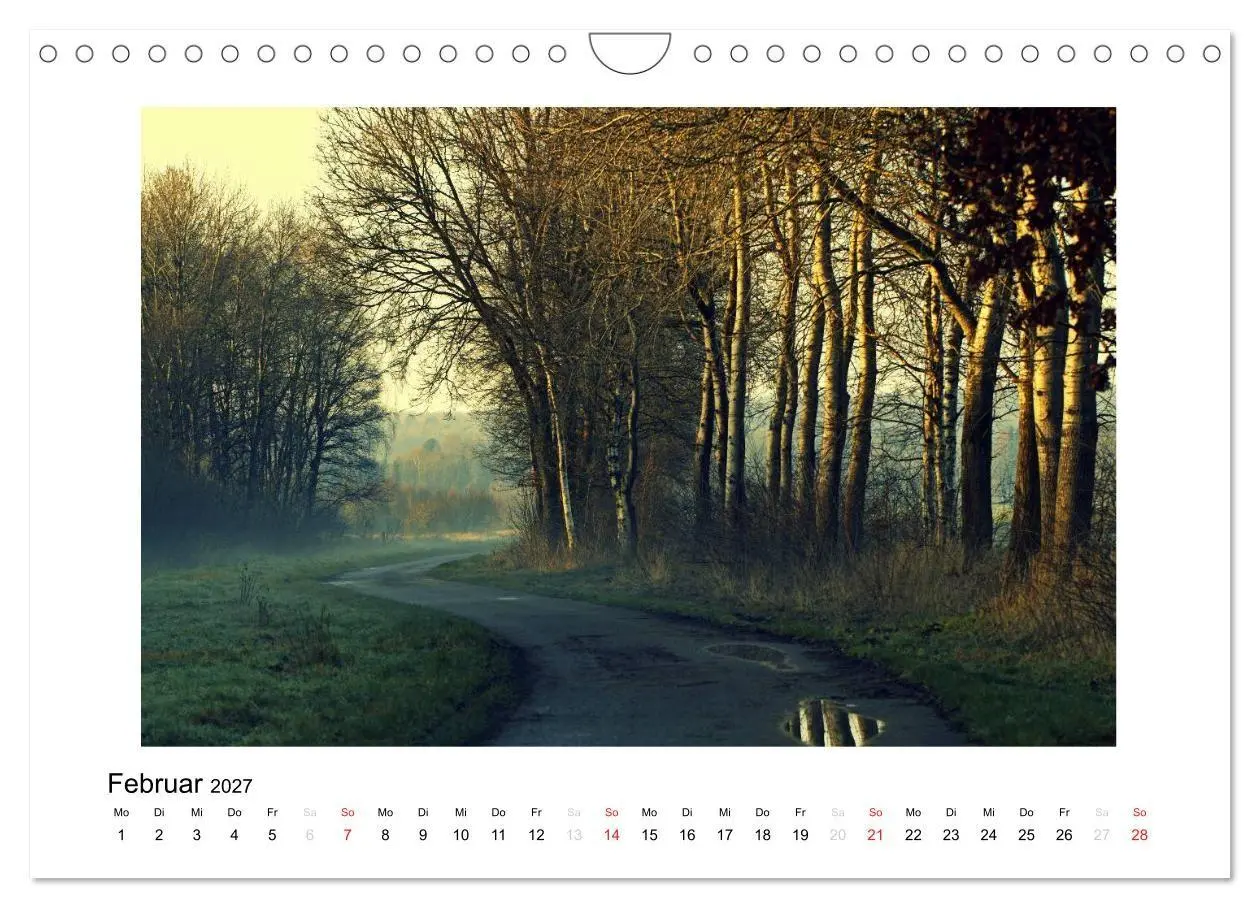 Bild: 9783569906044 | Winter im Teufelsmoor (Wandkalender 2027 DIN A4 quer), CALVENDO...
