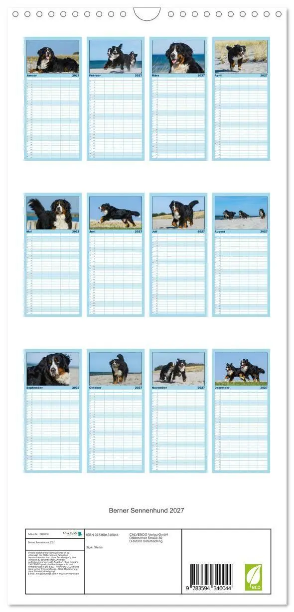 Bild: 9783594346044 | Familienplaner 2027 - Berner Sennenhund 2027 mit 5 Spalten...
