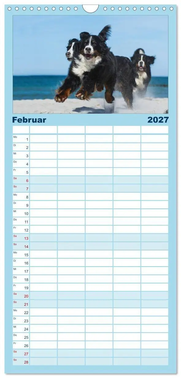 Bild: 9783594346044 | Familienplaner 2027 - Berner Sennenhund 2027 mit 5 Spalten...