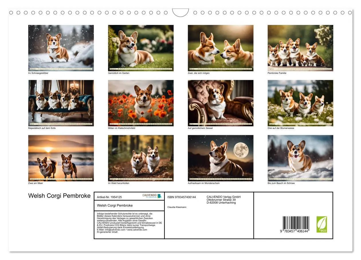 Bild: 9783457406144 | Welsh Corgi Pembroke (Wandkalender 2026 DIN A3 quer), CALVENDO...