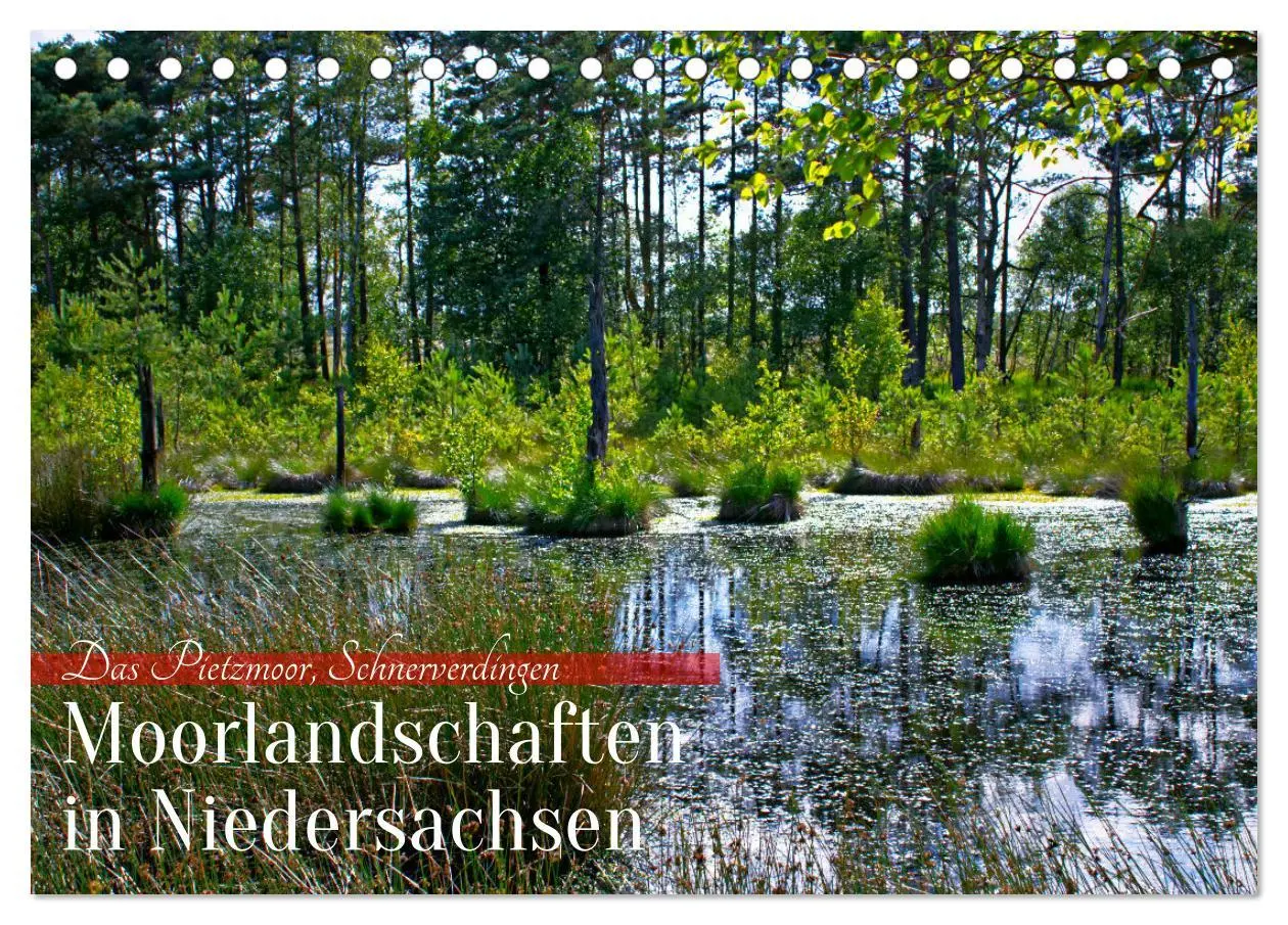 Cover: 9783457576144 | Niedersachsens Moorlandschaften - Das Pietzmoor, Schneverdingen...