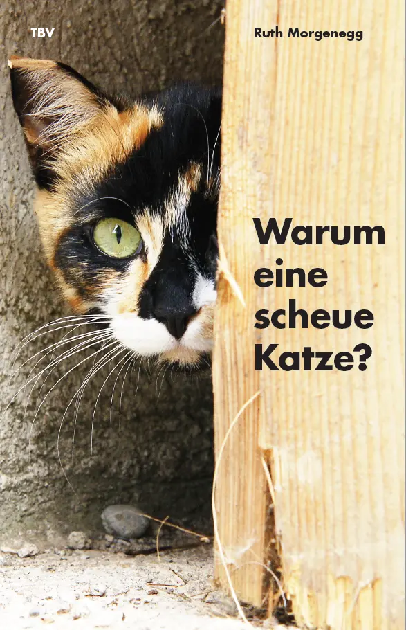 Cover: 9783952266144 | Warum eine scheue Katze? | Ruth Morgenegg | Taschenbuch | Deutsch