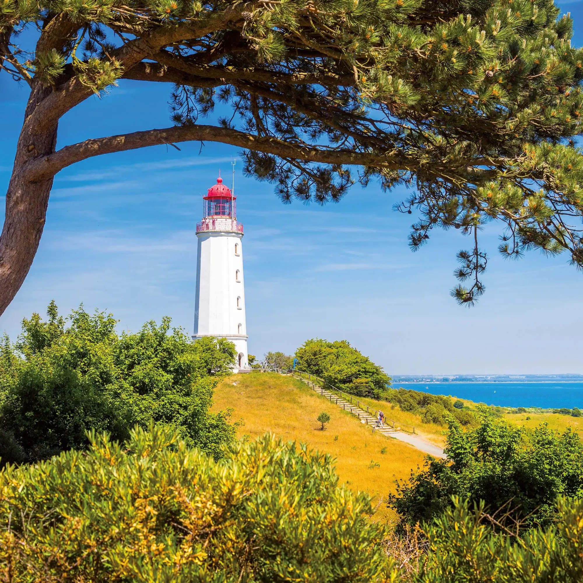 Bild: 9783959296144 | Ostsee/Baltic Sea 2026 | Kalender 2026 | Kalender | Artwork Edition