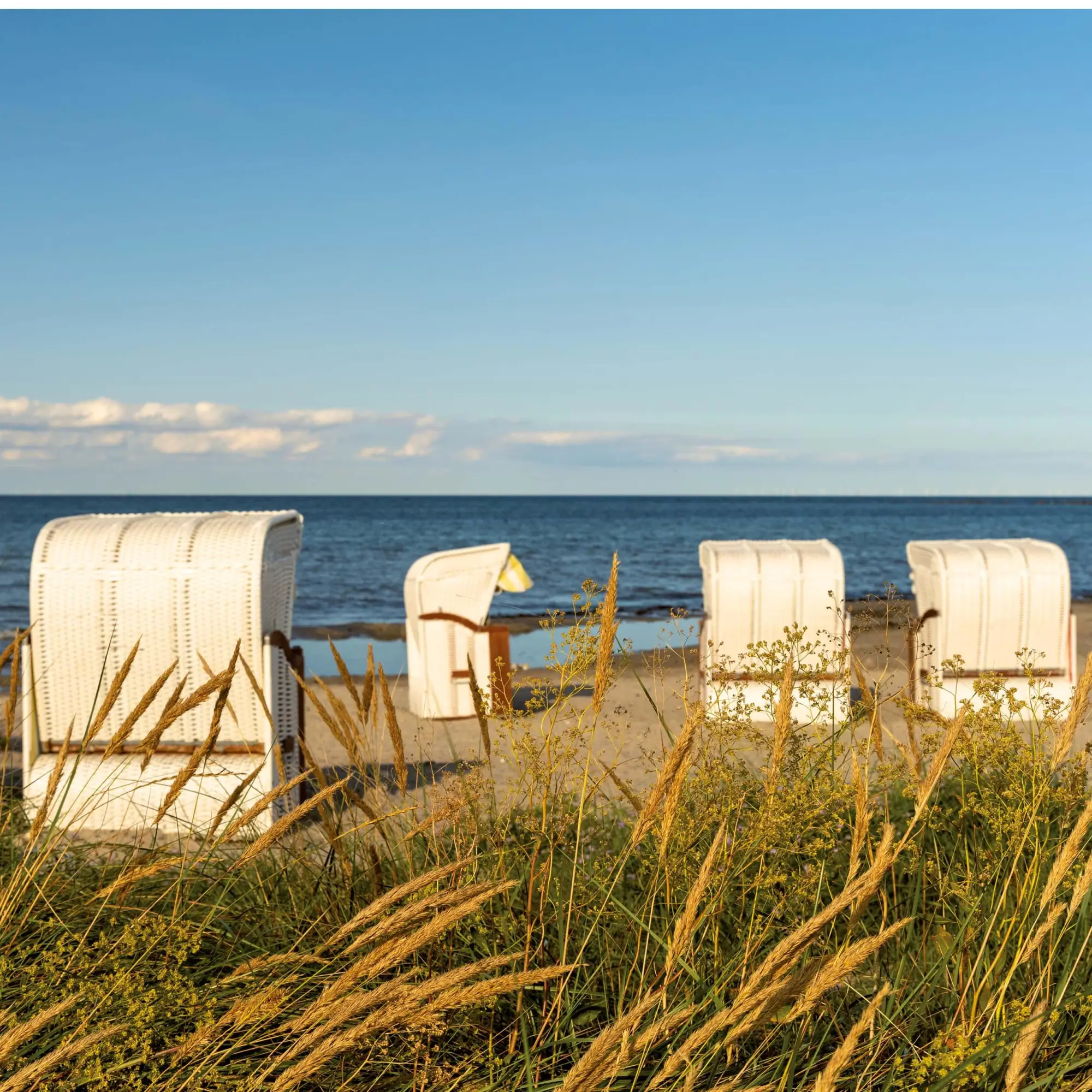 Bild: 9783959296144 | Ostsee/Baltic Sea 2026 | Kalender 2026 | Kalender | Artwork Edition