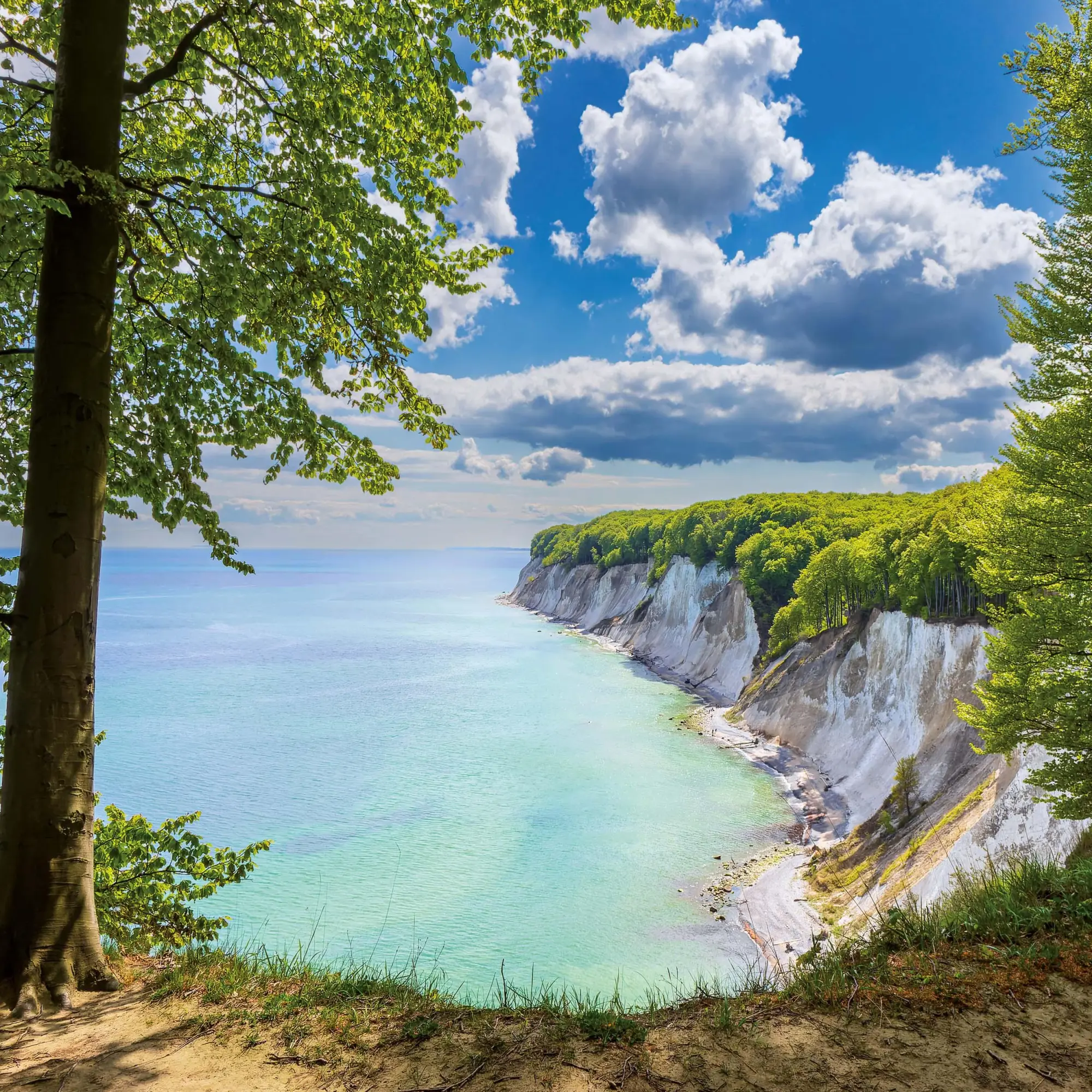 Bild: 9783959296144 | Ostsee/Baltic Sea 2026 | Kalender 2026 | Kalender | Artwork Edition